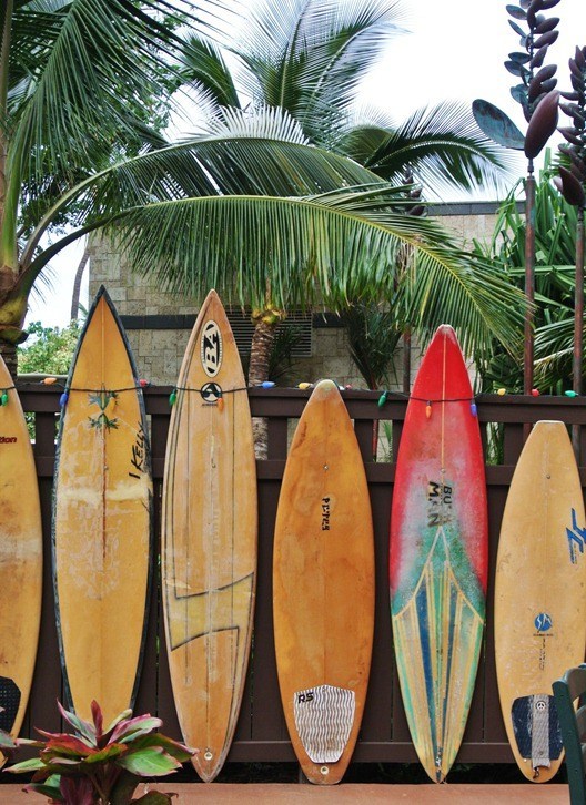 tablas de surf en la valla