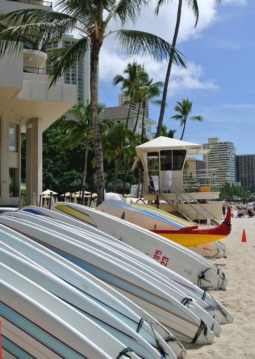 tablas de surf waikiki